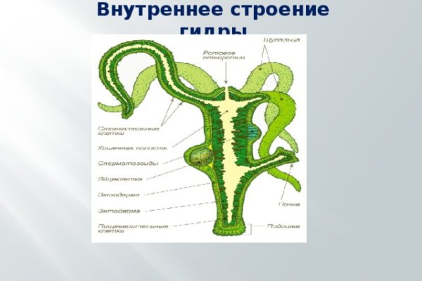 Кракен наркотики россия