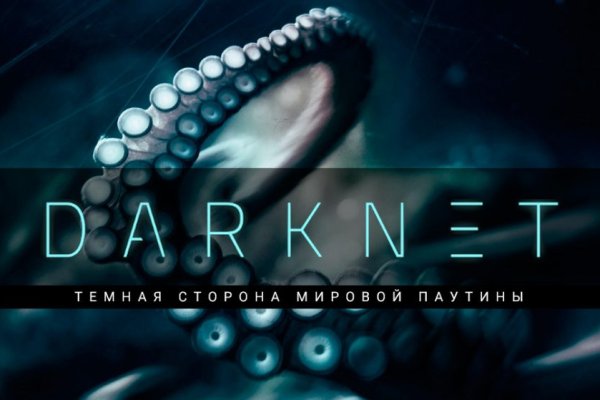 Kit kraken официальный сайт