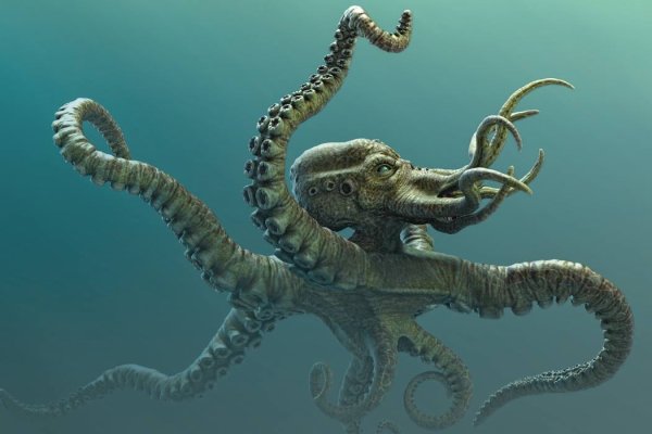 Сайт kraken зеркала