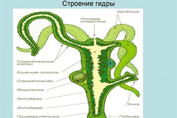 Kraken сайт вход