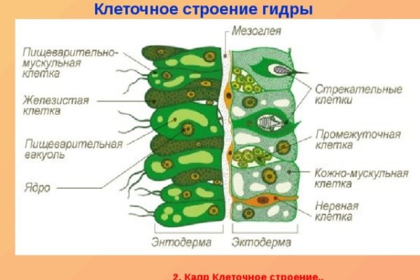 Kraken сайт магазин