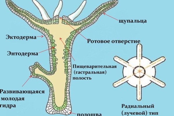 Кракен маркетплейс купить порошок