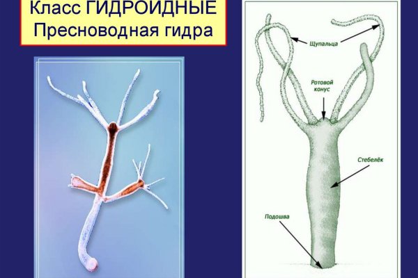 Кракен вместо гидры